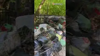 Арское 