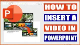 How to Insert a Video into a Powerpoint Presentation