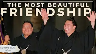 How I Accidentally Discovered Sumo's Most Beautiful Friendship | Sumostew Explores Tokyo