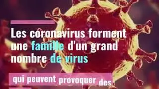 Coronavirus de l épidémie à la pandémie  un cas à été confirmée au Togo