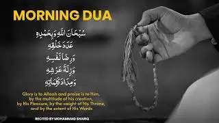 Subhanallahi Wa Bihamdihi Wa Adada Khalqihi | Morning Zikr | Mohammad Shariq