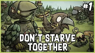 New Community Sub Server | Dont Starve Together - Community Server 7 (#1)