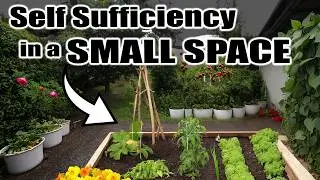 7 Tips for SELF SUFFICIENCY in a SMALL SPACE