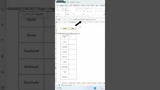 How to import logos into Excel. 