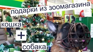 Новогодние покупки из зоомагазина для собак