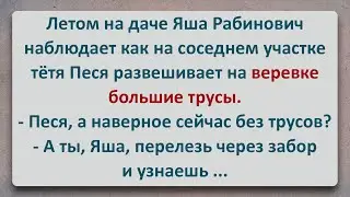 ✡️ Яша Рабинович и Толстая Тётя Песя на Даче! Еврейские Анекдоты! Про Евреев! Выпуск #386