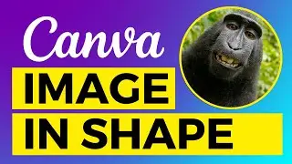 How to Put Image In Shape in Canva