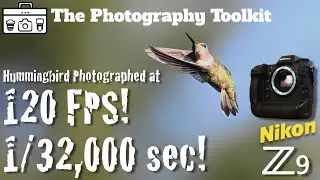 Nikon Z9 1/32,000th of a second & 120 FPS