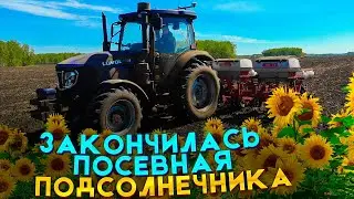 ПОСЛЕДНИЙ ДЕНЬ ПОСЕВА ПОДСОЛНЕЧНИКА! ЧТО БУДЕТ ДАЛЬШЕ?