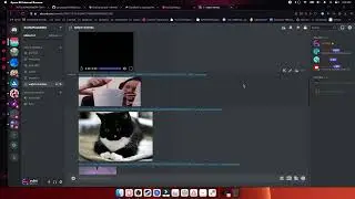 Discord webm memes (Discord gone forever)
