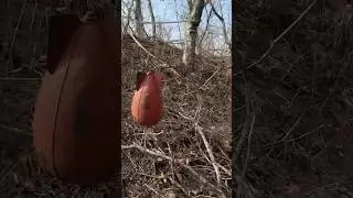 У всех есть такой друг ? Гуляем остров Елена Владивосток
