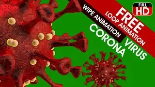 Corona Virus Loop / Virus Wipe Animation In Green Screen