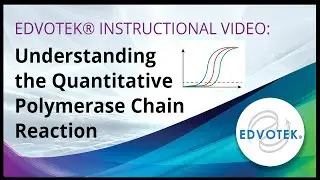 Edvotek Instructional Video: Understanding the Quantitative Polymerase Chain Reaction