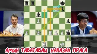 Амин Табатабаи блестяще наказал Прага. Шахматы. chess