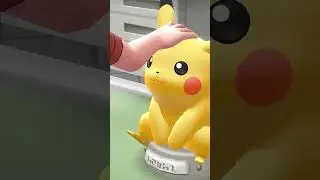 🤩Morgen ist POKEMON DAY!🤩