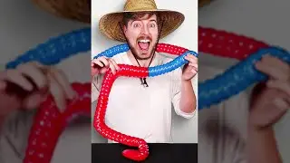 World's Largest Gummy Worm