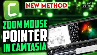 How to zoom mouse pointer in camtasia 2024