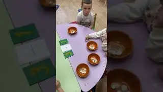 Математика для детей. Считаем ракушки