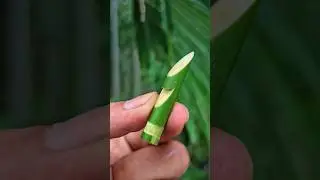 easy bamboo Crafts 