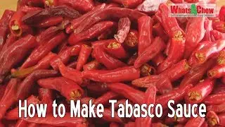 Lacto-fermented Hot Sauce - Easy Homemade Tabasco Sauce - Simple Tabasco-Style Chili Sauce