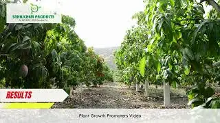 Sahajchem Products- Plant Growth Promoter results