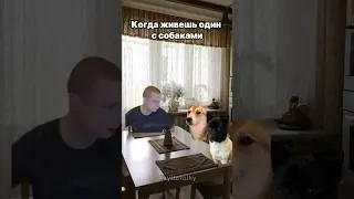 КОГДА ЖИВЕШЬ ОДИН С СОБАКАМИ 