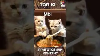 🌴ЛЕТНЕЕ МЕНЮ🌴 @studiya509 приготовила для тебя, подписчик, топ 10 самых популярных видео