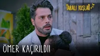 Ömer kaçırıldı | Yaralı Kuşlar 164. Bölüm