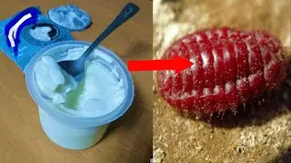АГАР БУНИ ЕГАН БУЛСАНГИЗ, ДАРХОЛ ДОКТОРГА ЙУГУРИНГ!
