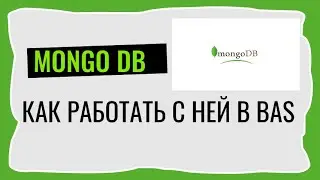 Как работать с базой данных (Mongo) в BAS локально. БД в BAS и их использование в ботах