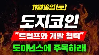 [긴급속보] 11월16일(토)도지코인