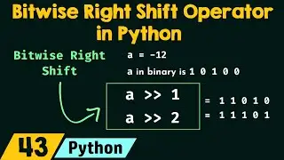 Bitwise Right Shift Operator in Python