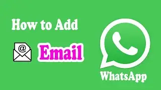 How to Add Email On WhatsApp 2024