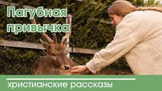 💛 Пагубная привычка - ИНТЕРЕСНЫЙ ХРИСТИАНСКИЙ РАССКАЗ | Христианские рассказы