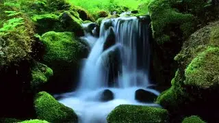 MOUNTAIN STREAM Nature Sounds (10 Hours) Relax, Meditate, Sleep