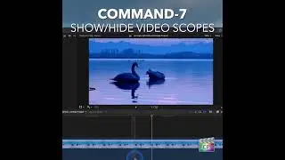 Final Cut Pro Shortcut | Command-7 | Show/Hide Video Scopes