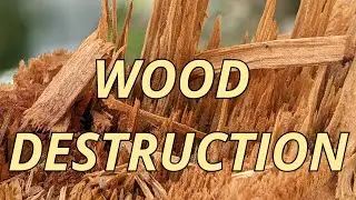 Wood Destruction Sound Effects - Shattering and Breaking Wood