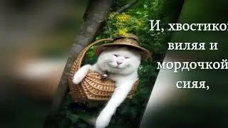 С Днем Кошек. Музыкальное поздравление.