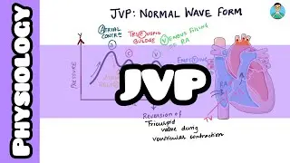 JVP: Normal wave form explained for #usmle #inicet #neetpg #nclex