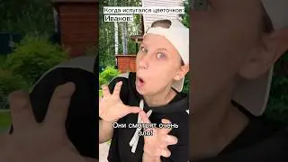 Злые цветы! Прикол 🤣 