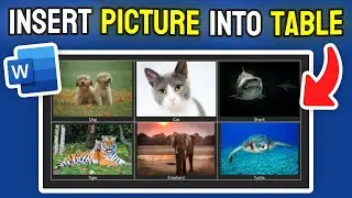 How to Insert Picture Into Table in MS Word - Full Guide