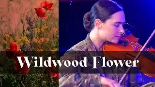 Wildwood Flower | Six-String Soldiers