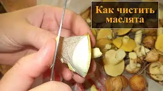 Как чистить маслята