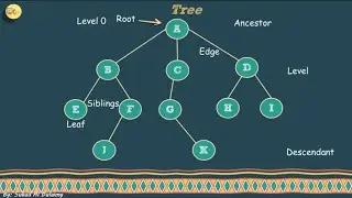 مقدمة تشرح ال Tree Data Structure أنواعها  ٍSkew Trees || Full Binary Trees Complete Binary Trees