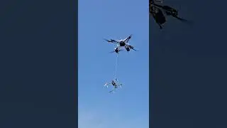 Друг спас друга. 