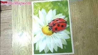 LADYBUG on chamomile. Drawing is EASY! HobbyMarket