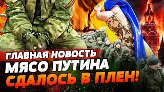 КУРСКОЕ НАСТУПЛЕНИЕ! ЦЕЛАЯ РОССИЙСКАЯ РОТА СДАЛАСЬ В ПЛЕН НА КУРСКОЙ ОБЛАСТИ | ГЛАВНАЯ НОВОСТЬ