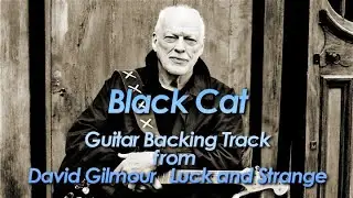 DAVID GILMOUR『Black Cat』Guitar Backing Track 2024  from『 Luck and Strange 』 by miu JAPAN