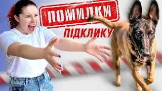 Чому Собака Тікає Від Вас? | 10 Причин та Помилок, Чому Команда 'До Мене' Не Працює від Кінолога