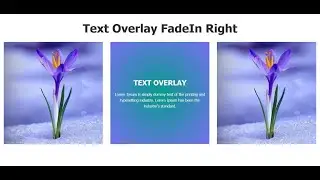 How to Create Image Overlay FadeIn Right Text effect and Responsive using only HTML and CSS.